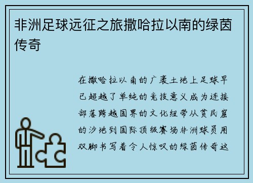 非洲足球远征之旅撒哈拉以南的绿茵传奇